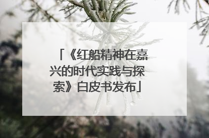 《红船精神在嘉兴的时代实践与探索》白皮书发布