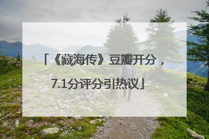 《藏海传》豆瓣开分，7.1分评分引热议