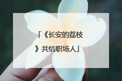 《长安的荔枝》共情职场人