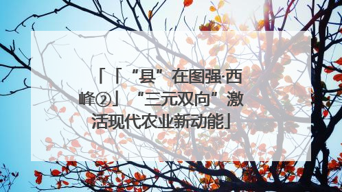 「“县”在图强·西峰②」“三元双向”激活现代农业新动能