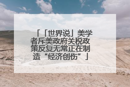 「世界说」美学者斥美政府关税政策反复无常正在制造“经济创伤”