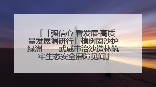 「强信心 看发展·高质量发展调研行」植树固沙护绿洲——武威市治沙造林筑牢生态安全屏障见闻