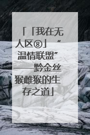 「我在无人区⑧」“温情联盟”——黔金丝猴雌猴的生存之道