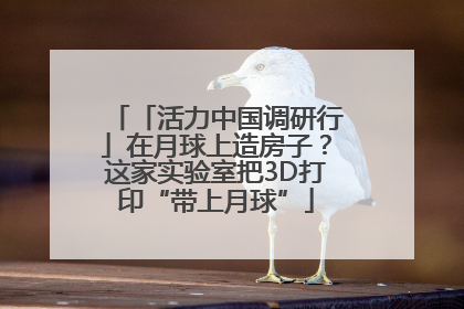 「活力中国调研行」在月球上造房子？这家实验室把3D打印“带上月球”