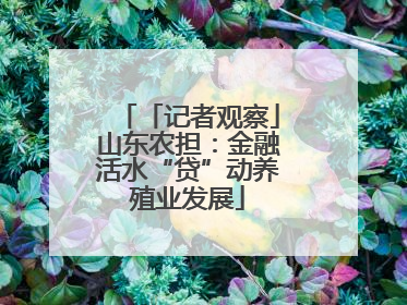 「记者观察」山东农担：金融活水“贷”动养殖业发展