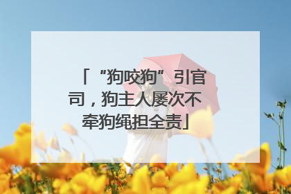 “狗咬狗”引官司，狗主人屡次不牵狗绳担全责