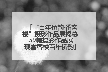 “百年侨韵·番客楼”摄影作品展揭幕 59幅摄影作品展现番客楼百年侨韵