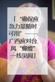 “确保应急力量随时可用”——广西应对台风“蝴蝶”一线见闻