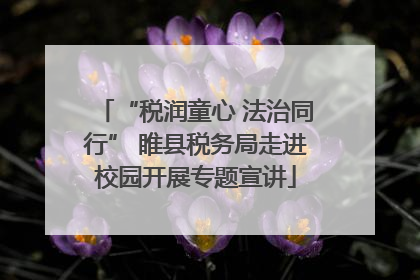“税润童心 法治同行” 睢县税务局走进校园开展专题宣讲