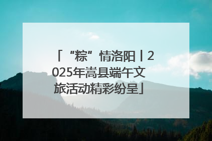 “粽”情洛阳丨2025年嵩县端午文旅活动精彩纷呈