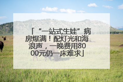 “一站式生娃”病房爆满！配灯光和海浪声，一晚费用8000元仍一床难求