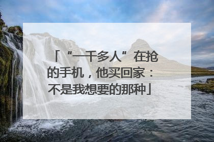 “一千多人”在抢的手机，他买回家：不是我想要的那种