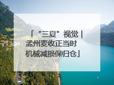 “三夏”视觉｜孟州麦收正当时 机械减损保归仓