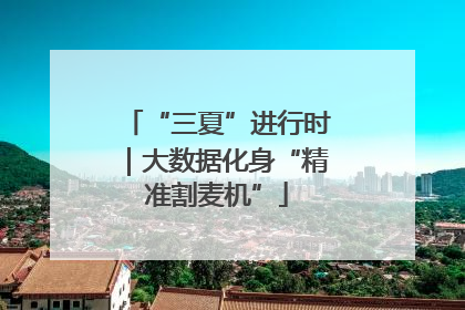 “三夏”进行时｜大数据化身“精准割麦机”