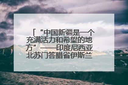 “中国新疆是一个充满活力和希望的地方”——印度尼西亚北苏门答腊省伊斯兰教代表团参访新疆