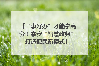 “事好办”才能拿高分！泰安“智慧政务”打造便民新模式