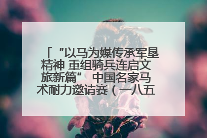 “以马为媒传承军垦精神 重组骑兵连启文旅新篇” 中国名家马术耐力邀请赛（一八五团站）暨重启骑兵连活动正式启动