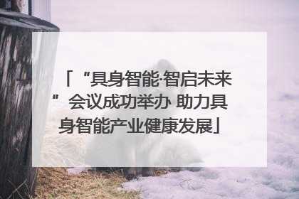 “具身智能·智启未来”会议成功举办 助力具身智能产业健康发展