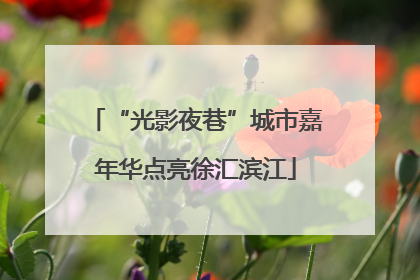 “光影夜巷”城市嘉年华点亮徐汇滨江