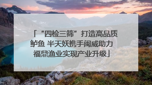 “四检三筛”打造高品质鲈鱼 半天妖携手闽威助力福鼎渔业实现产业升级
