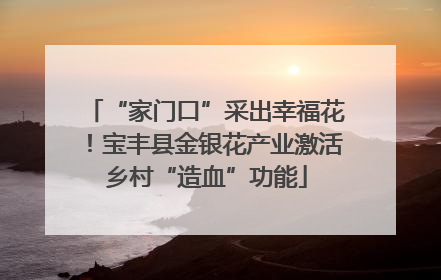 “家门口”采出幸福花！宝丰县金银花产业激活乡村“造血”功能