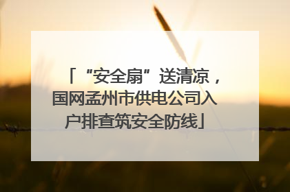 “安全扇”送清凉，国网孟州市供电公司入户排查筑安全防线