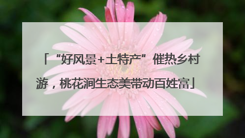 “好风景+土特产”催热乡村游，桃花涧生态美带动百姓富