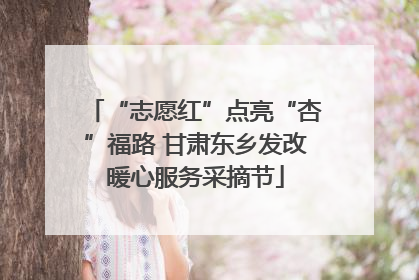 “志愿红”点亮“杏”福路 甘肃东乡发改暖心服务采摘节