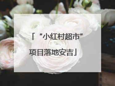 “小红村超市”项目落地安吉