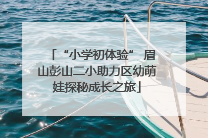 “小学初体验” 眉山彭山二小助力区幼萌娃探秘成长之旅