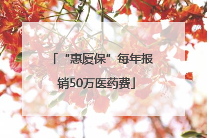 “惠厦保”每年报销50万医药费