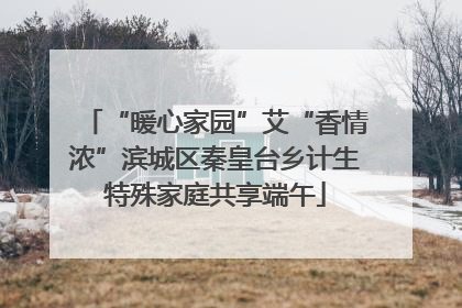 “暖心家园”艾“香情浓”滨城区秦皇台乡计生特殊家庭共享端午