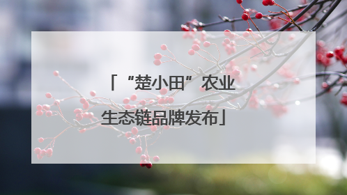 “楚小田”农业生态链品牌发布