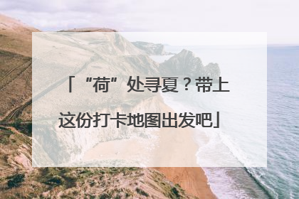“荷”处寻夏？带上这份打卡地图出发吧