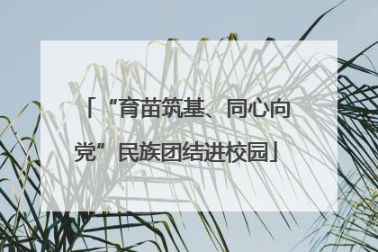 “育苗筑基、同心向党”民族团结进校园