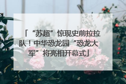 “苏超”惊现史前拉拉队！中华恐龙园“恐龙大军”将亮相开幕式