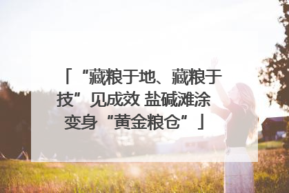 “藏粮于地、藏粮于技”见成效 盐碱滩涂变身“黄金粮仓”