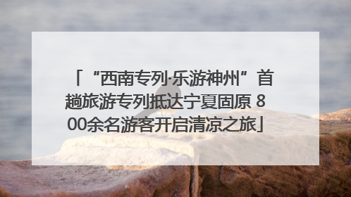 “西南专列·乐游神州”首趟旅游专列抵达宁夏固原 800余名游客开启清凉之旅