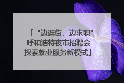 “边逛街、边求职” 呼和浩特夜市招聘会探索就业服务新模式