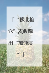 “豫北粮仓”麦收跑出“加速度”