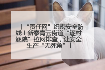 “责任网”织密安全防线！新泰青云街道“逐村逐院”拉网排查，让安全生产“无死角”