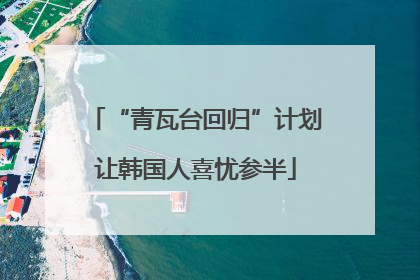 “青瓦台回归”计划让韩国人喜忧参半