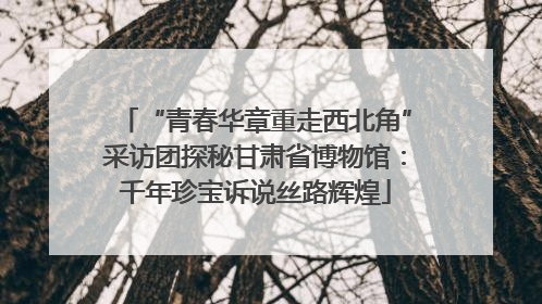 “青春华章重走西北角”采访团探秘甘肃省博物馆：千年珍宝诉说丝路辉煌