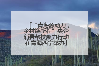 “青海源动力，乡村焕新程”央企消费帮扶聚力行动在青海西宁举办