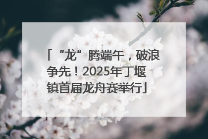 “龙”腾端午，破浪争先！2025年丁堰镇首届龙舟赛举行