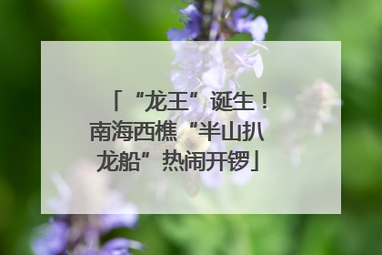 “龙王”诞生！南海西樵“半山扒龙船”热闹开锣