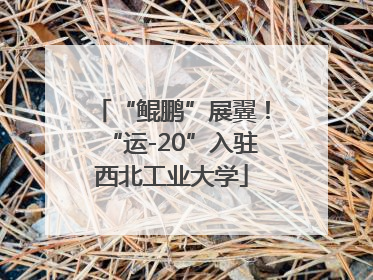 “鲲鹏”展翼！“运-20”入驻西北工业大学