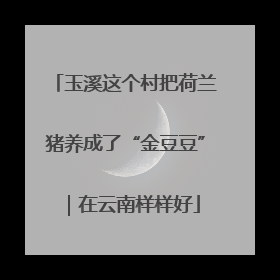 玉溪这个村把荷兰猪养成了“金豆豆”｜在云南样样好