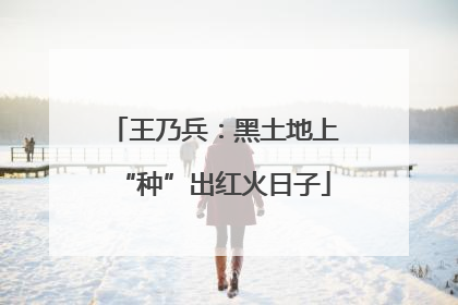 王乃兵：黑土地上“种”出红火日子