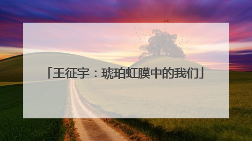 王征宇：琥珀虹膜中的我们